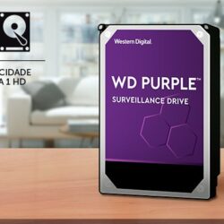 hd purple 1 TB